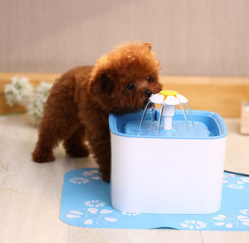 Small dog drinking from the PawTec Automatic Pet Water Fountain's flower-shaped spout