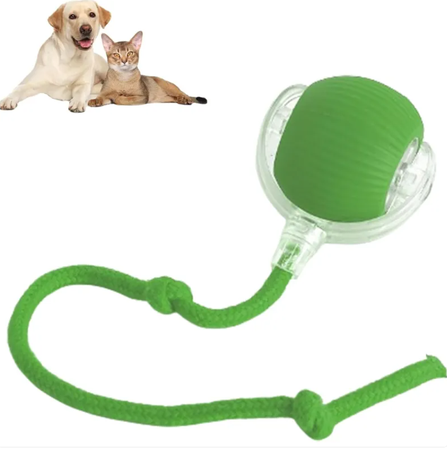 PawTec Smart Rolling Pet Ball in green with an attached rope for interactive play