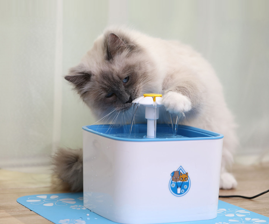Cat drinking from the PawTec Automatic Pet Water Fountain in white and blue