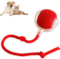 PawTec Smart Rolling Pet Ball in red with an attached rope for interactive play