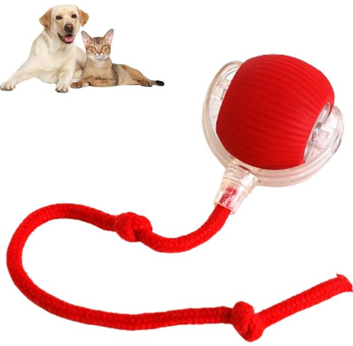 PawTec Smart Rolling Pet Ball in red with an attached rope for interactive play
