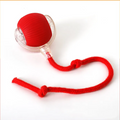 PawTec™ Smart Rolling Pet Ball