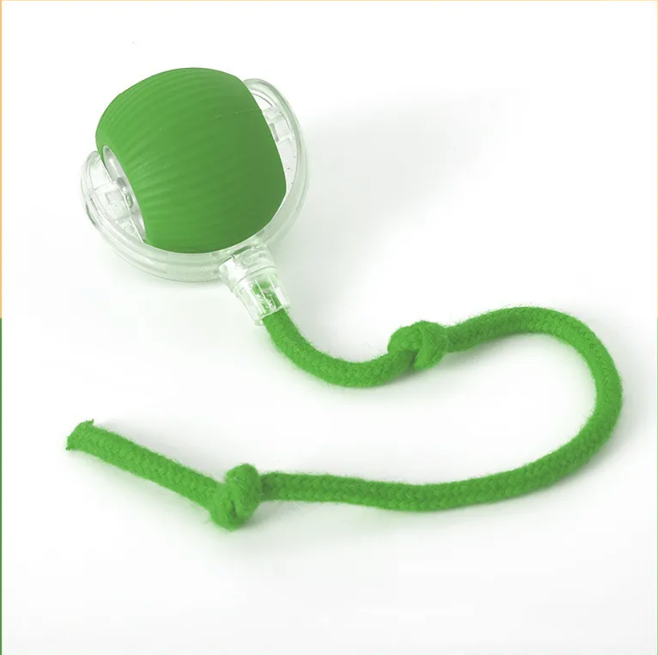 PawTec™ Smart Rolling Pet Ball