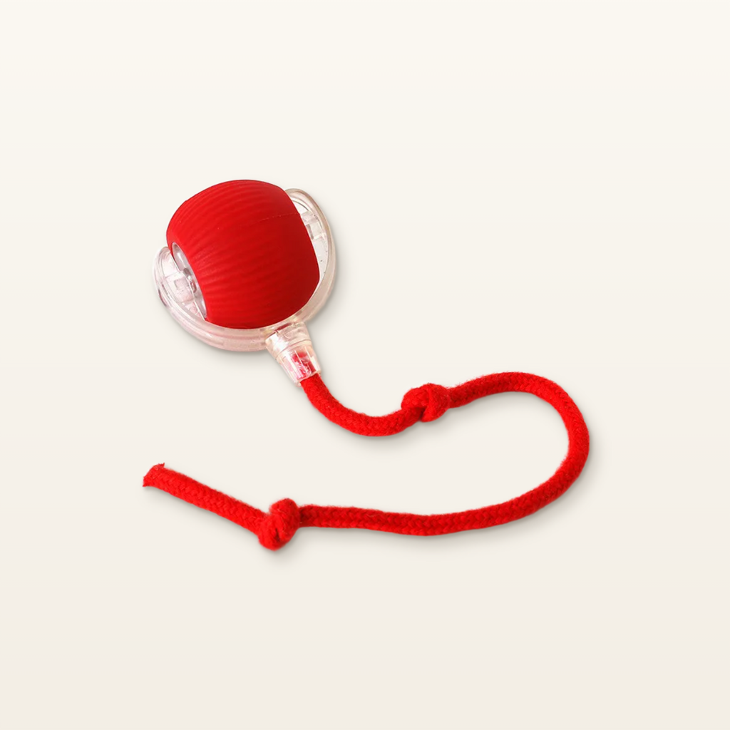 Red PawTec Smart Rolling Pet Ball with knotted rope tail