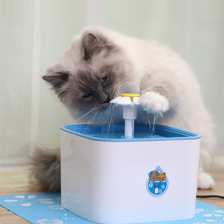 Ragdoll cat drinking from the PawTec Automatic Pet Water Fountain on a blue mat